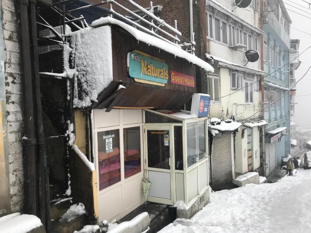 Exotic Naturals Guest House Shimla Exterior foto